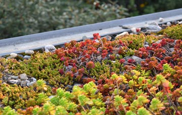 the cost of Birdham green roof installation