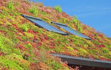 Birdham living roof systems