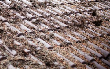 Birdham roof cleaning companies