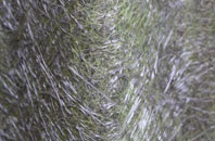 Birdham fibreglass roof work